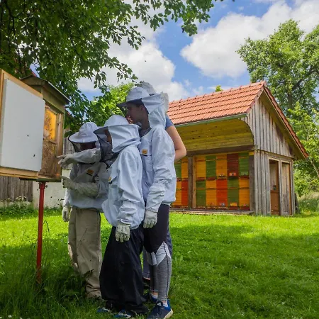 Apartamento Beekeeping Kojek Ribnica