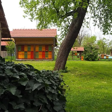 Beekeeping Kojek Ribnica