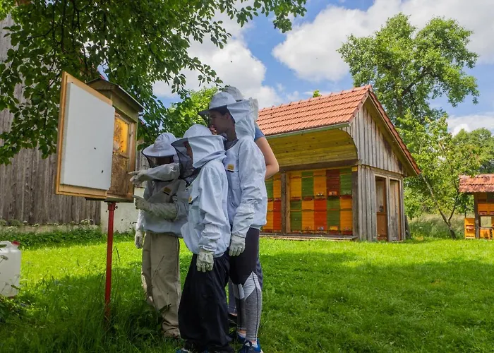 Apartamento Beekeeping Kojek Ribnica