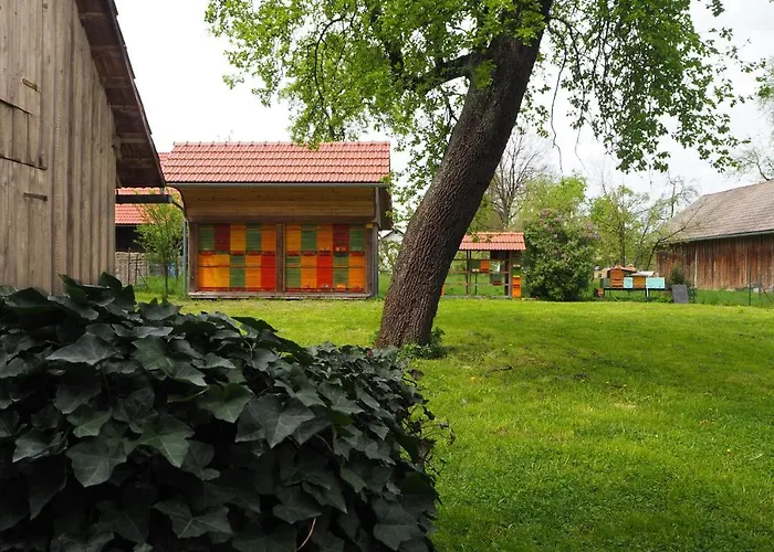 Beekeeping Kojek Ribnica